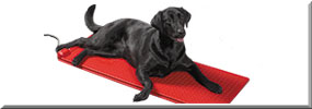 Pet Heat Mat