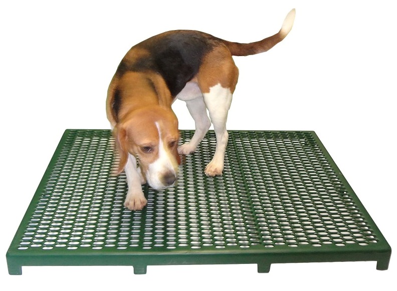Cage Floors for Veterinary Hospitals and Clinics 100 Plastisol Coated
