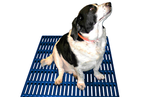 animal flooring