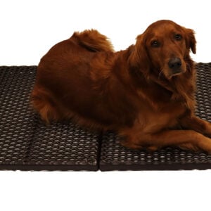 light cage floor