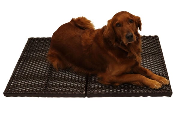 light cage floor