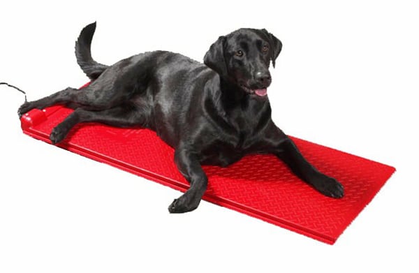 Poly Pet Heat Mats