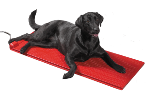 transparent lab heat mat