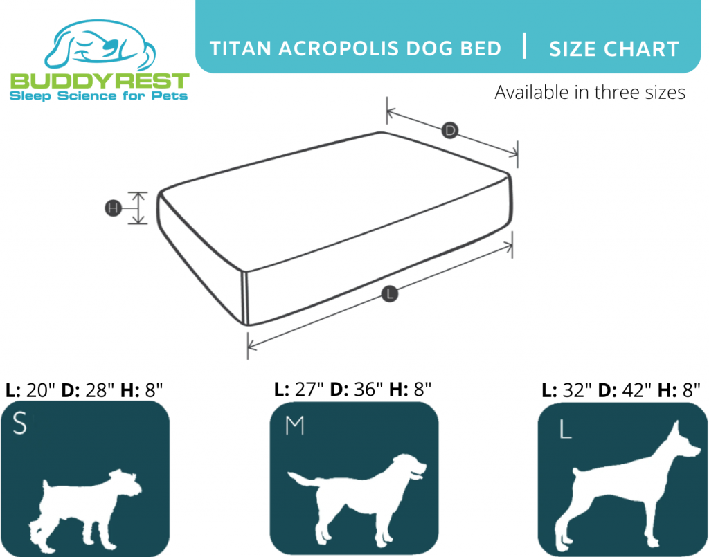 large dog bed size chart