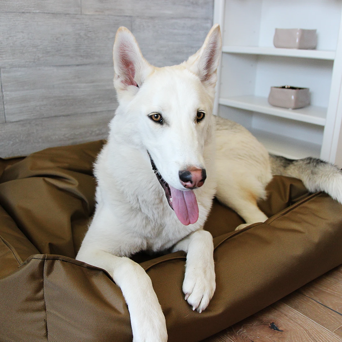Citadel buddy rest dog bed