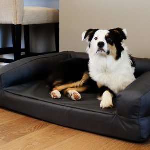 tough dog bed