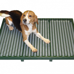 raised animal floor design