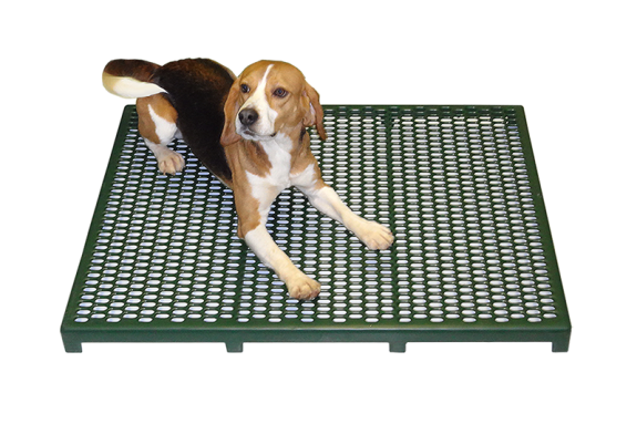 comfortRAC2a raised animal floor design