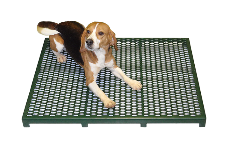 Veterinary Flooring Ridglan Animal Care Systems Blog