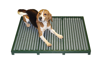 green raised cage floor