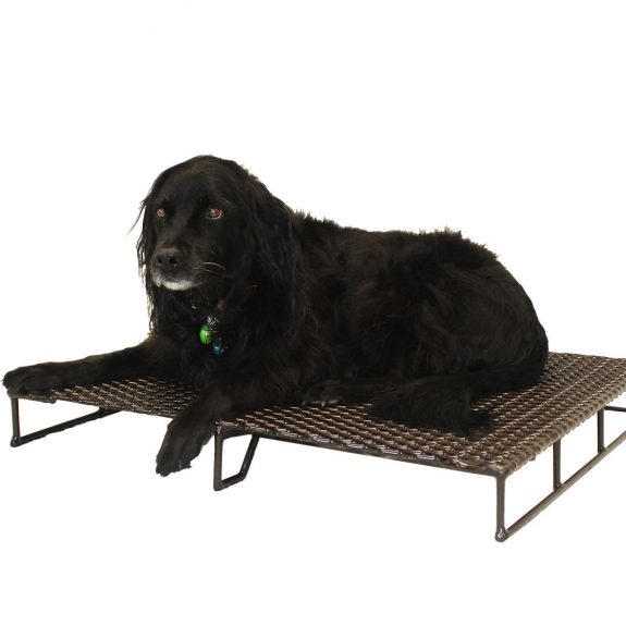 Original_CageRAC_2 Elderly dog on a raised cage floor