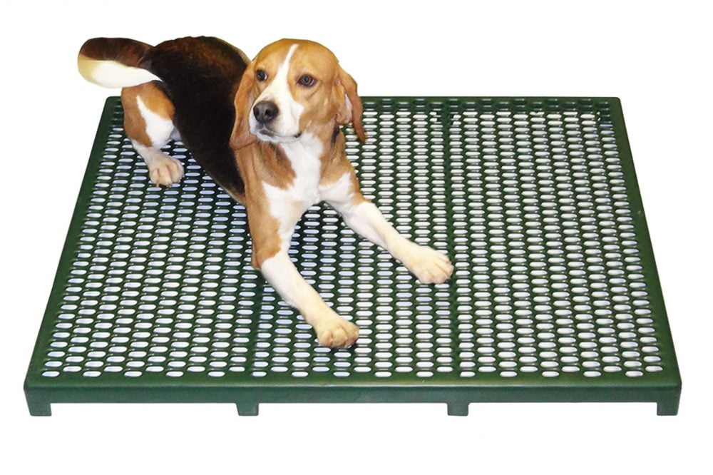 Cage Grates for Animal Health and Comfort RACS