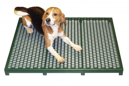 Kennel floor grates 2025