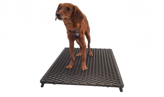Cage Floor