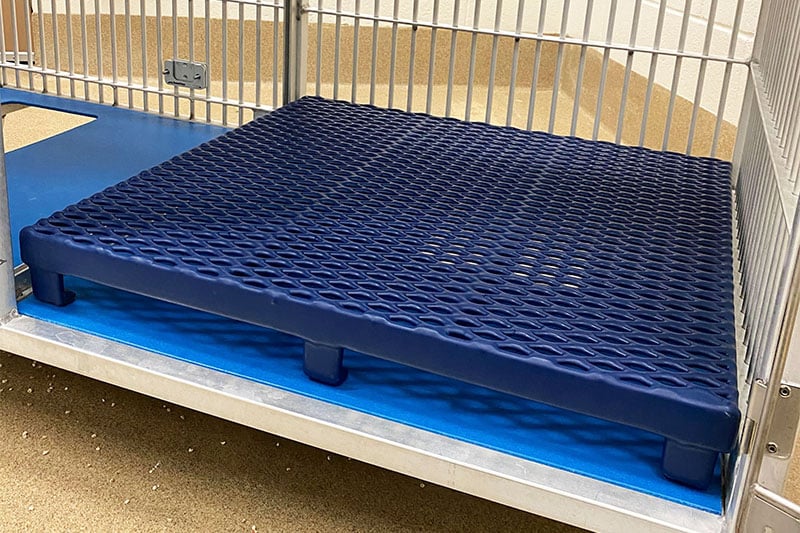 Blue cage flooring 2