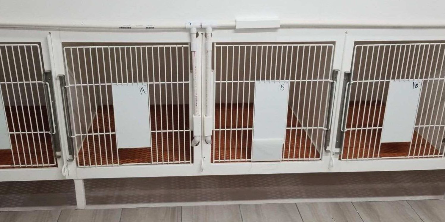 Perfect sales kennel floor