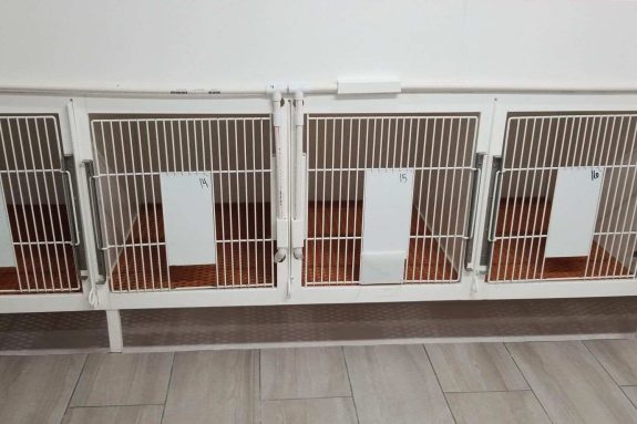 kennel