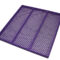 Purple Run_36x36a