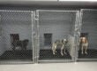 Cage