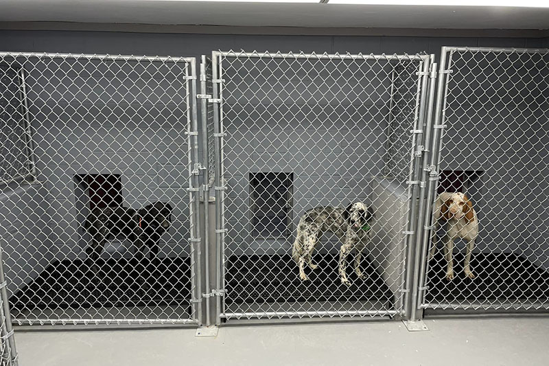 Cage Cage