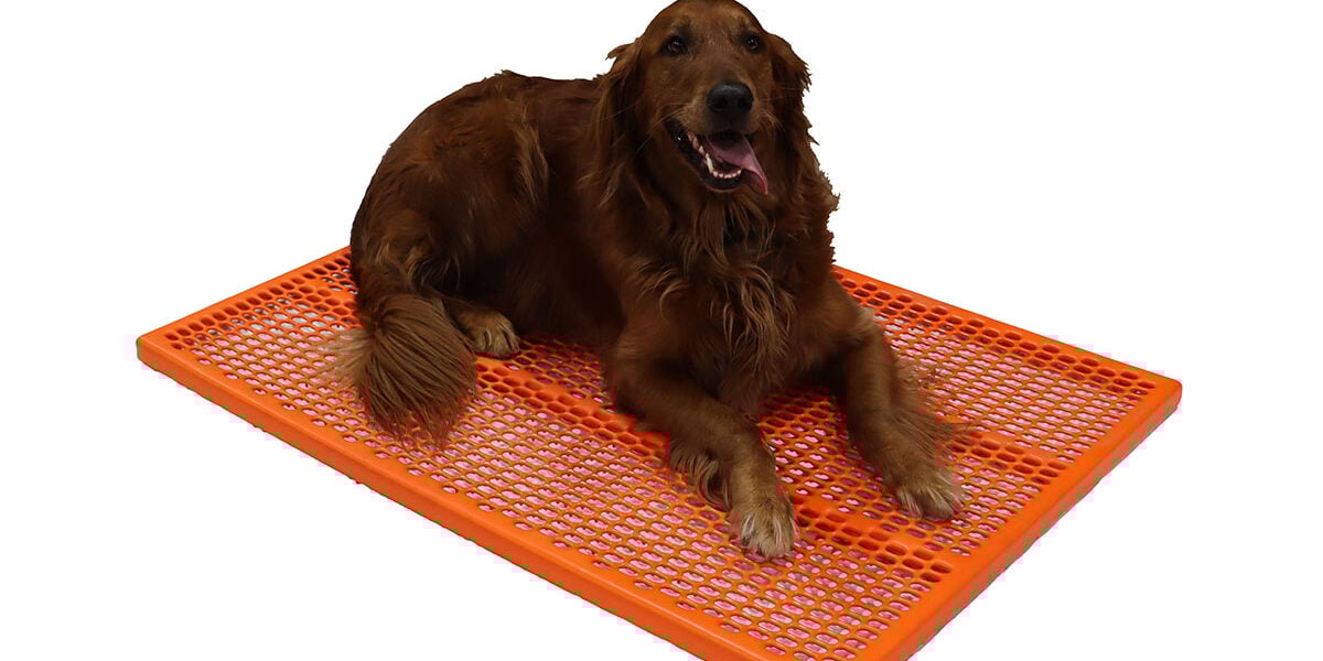 IMG_1174_Walter-a custom industrial cage grate