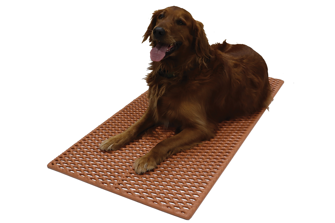 Industrial cage floor with dog