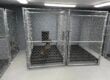 non-porous kennel flooring