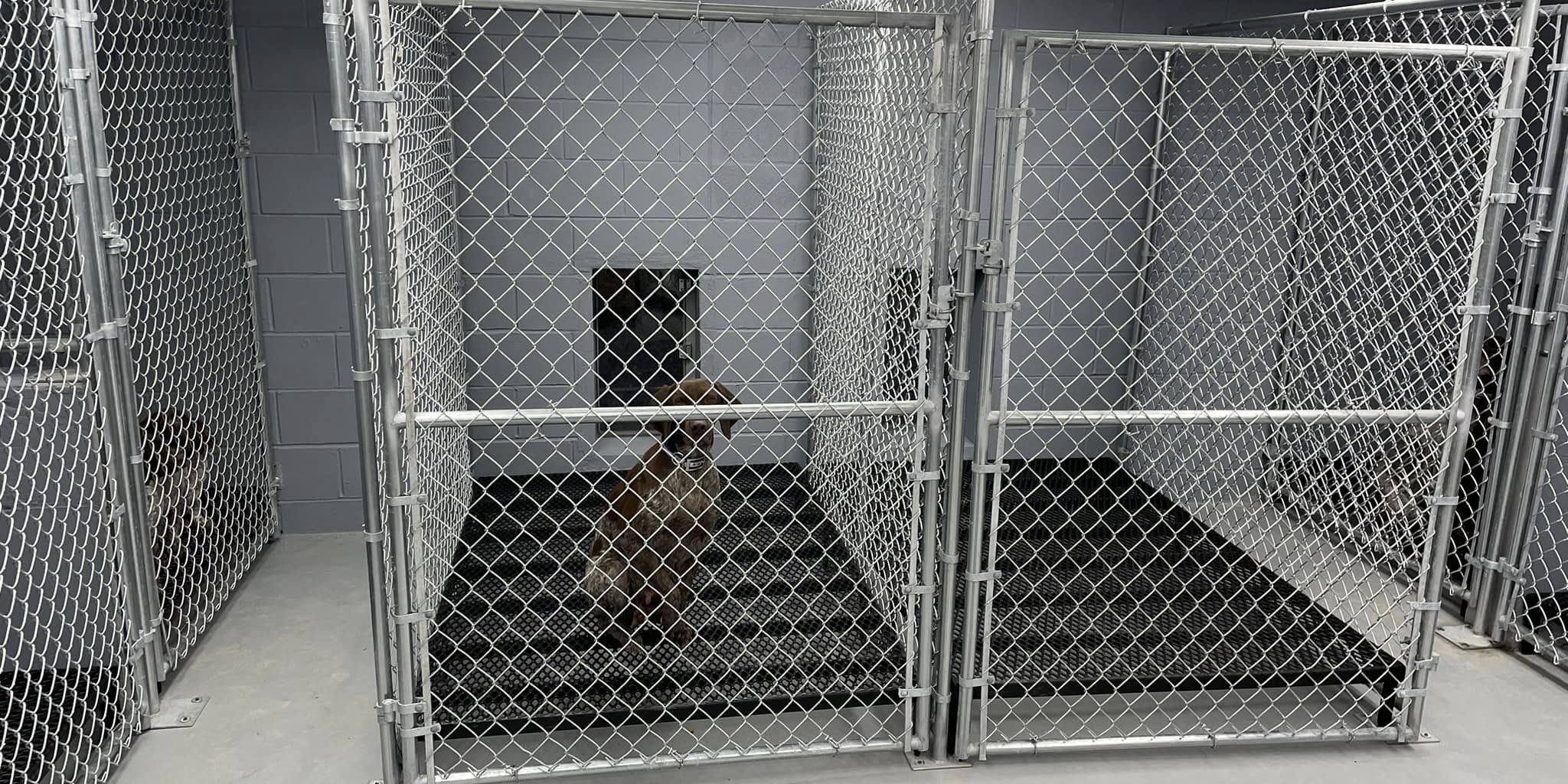 non-porous kennel flooring
