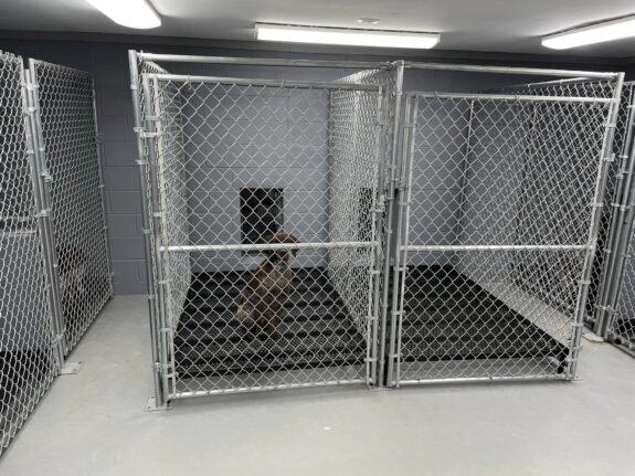 non-porous kennel flooring