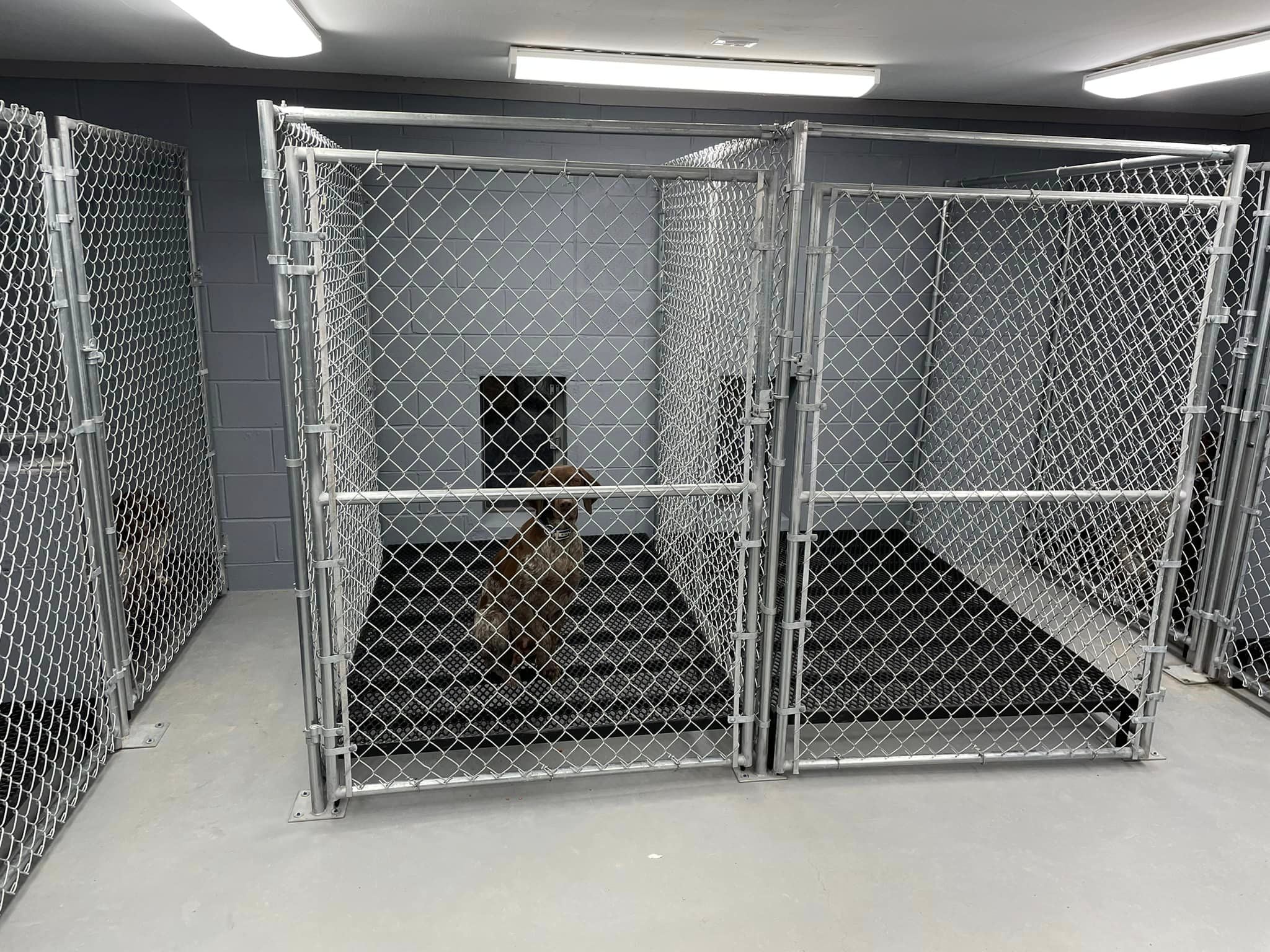 non-porous kennel flooring