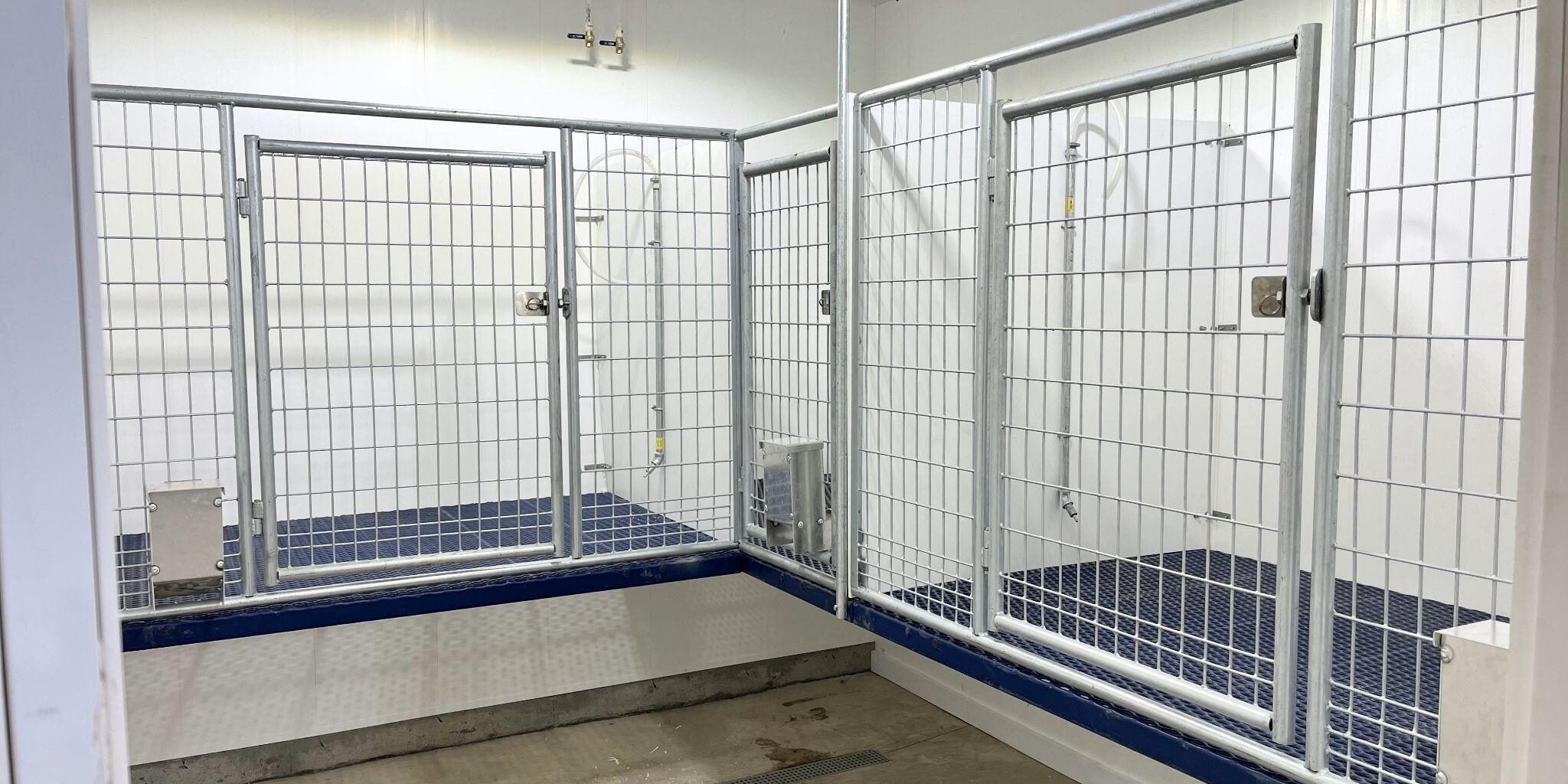 Sanitary Whelping Environment