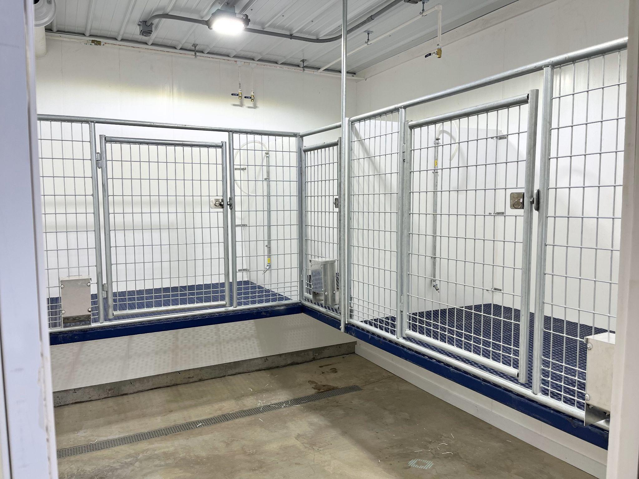 Sanitary Whelping Environment